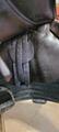 Selle Altaïr