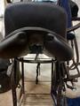 SELLE TATTINI NEW BRISTOL ETAT NEUF ANNEE 2021
