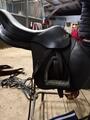 SELLE TATTINI NEW BRISTOL ETAT NEUF ANNEE 2021