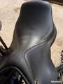 SELLE TATTINI NEW BRISTOL ETAT NEUF ANNEE 2021