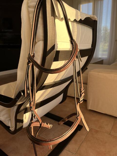 Bridon cheval