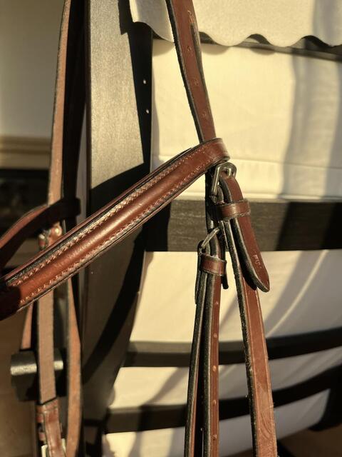 Bridon cheval