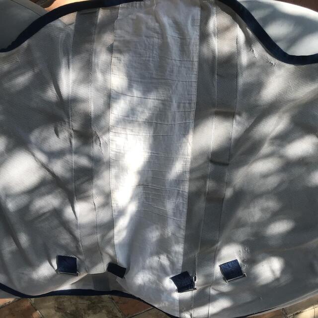 Cou