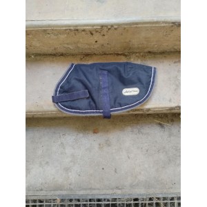 Manteau petit chien