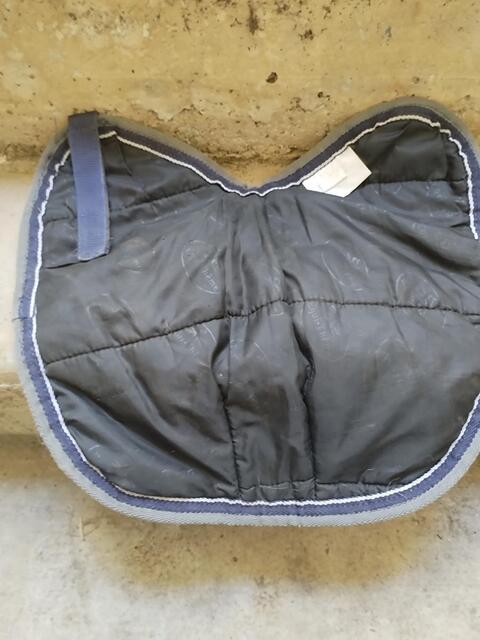 Manteau petit chien