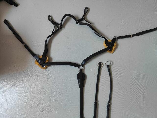Collier de chasse 5 points time rider