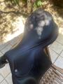 Selle équipe