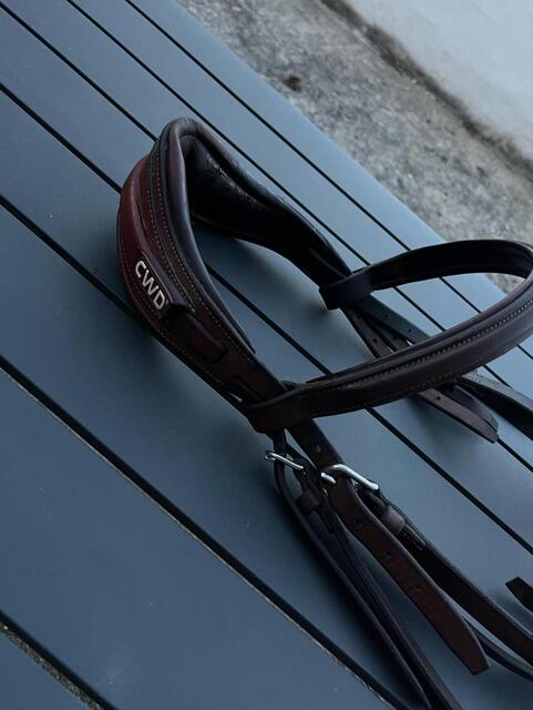 bridon cwd