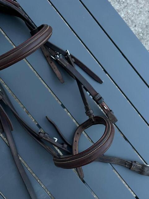 bridon cwd
