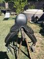 Selle de dressage zaldi