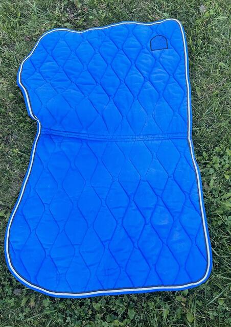 Tapis bleu roi