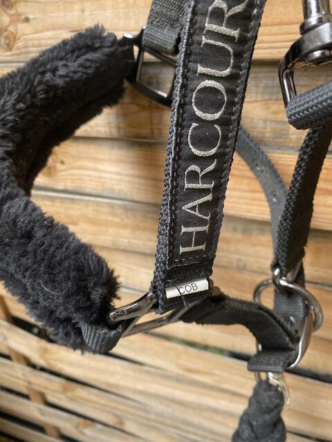 Licol Harcour