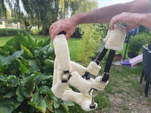 Licol mouton
