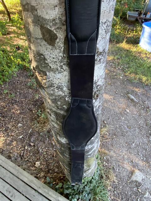 Sangle anatomique Protanner 145cm