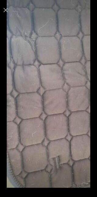 Tapis vert felix buhler kramer
