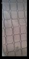 Tapis vert felix buhler kramer