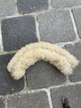 Moumoute de protection