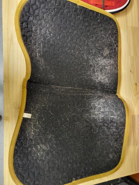 Tapis Kentucky