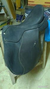 Selle Mixte Wintec Haut Garrot - Taille 18