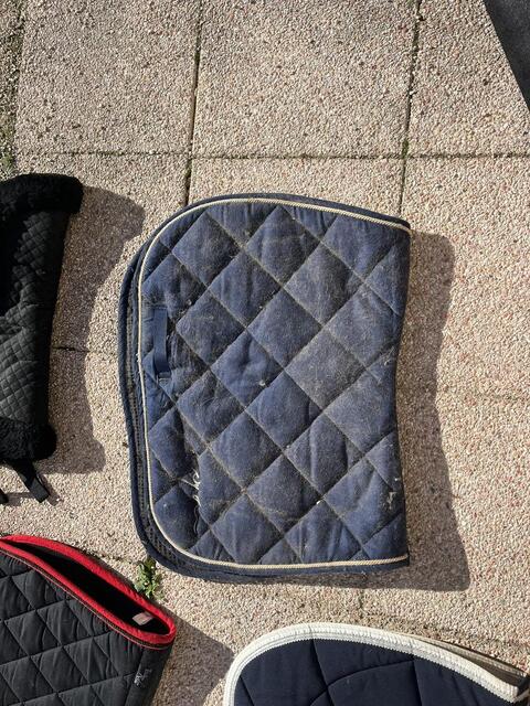 tapis dyon