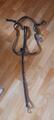 Collier de chasse noir kramer