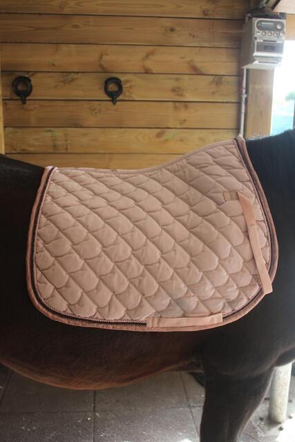 Tapis de selle
