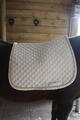 Tapis de dressage blanc