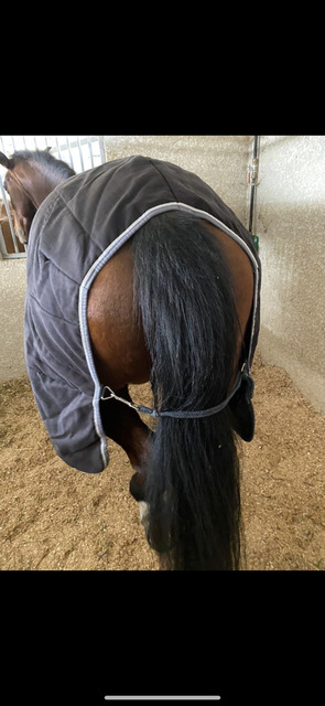 Couverture 200g horseweare