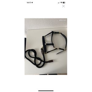Licol cuir nylon Kentucky avec longe Norton