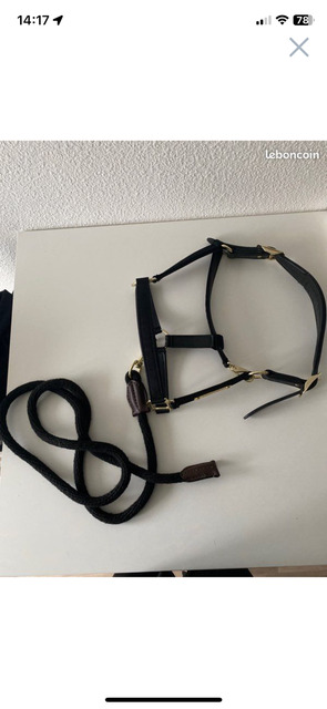 Licol cuir nylon Kentucky avec longe Norton