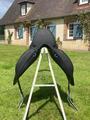 Selle de dressage neuve Childeric DPL livrée fin 2023