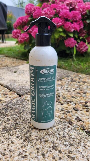 Shampoing sec Magic Groom Rekor