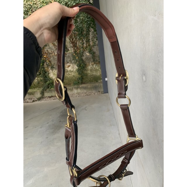 Licol dyon poney neuf