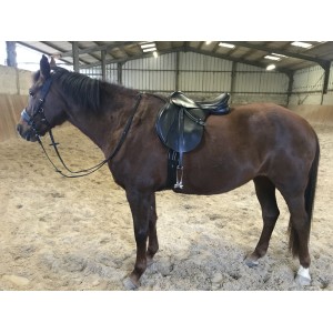 Selle Kent&Masters pony long leg