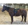 Selle Kent&Masters pony long leg