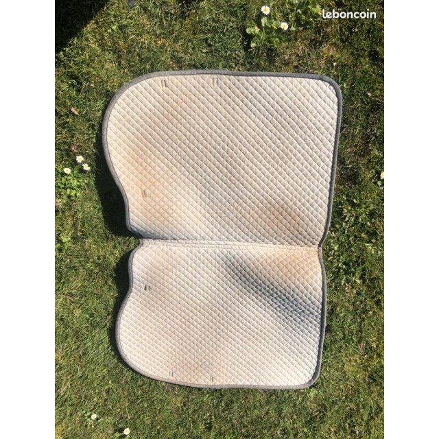 Tapis full mixte (orienté dressage)