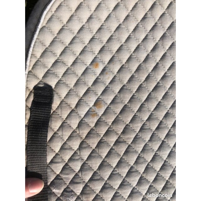 Tapis full mixte (orienté dressage)
