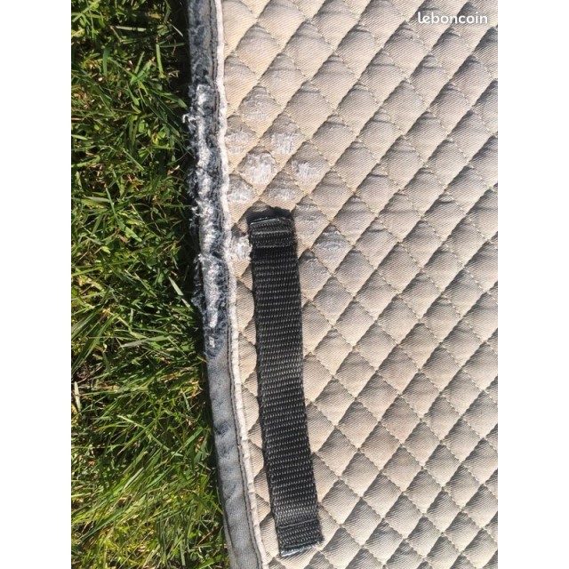 Tapis full mixte (orienté dressage)