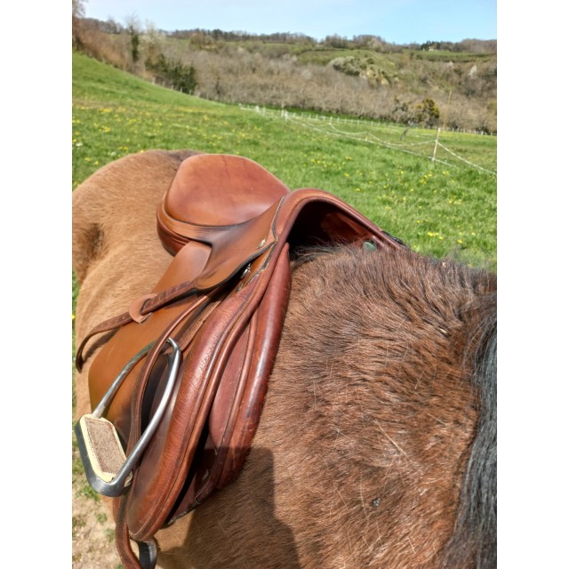 Selle obstacle Amerigo Vega