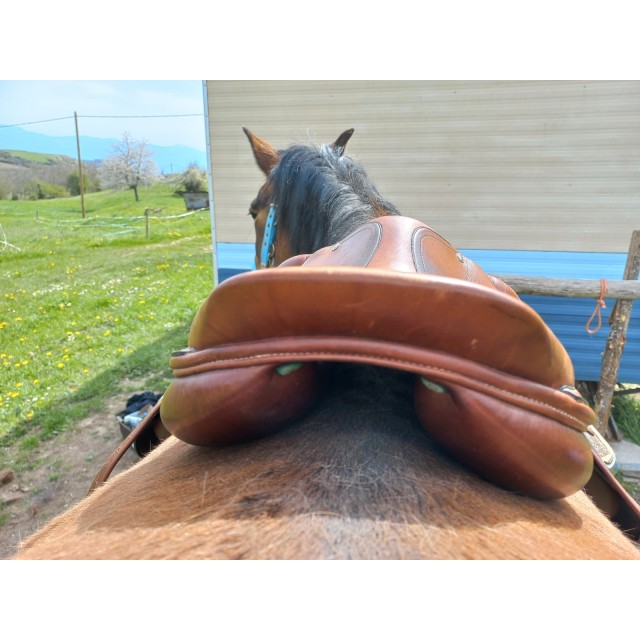 Selle obstacle Amerigo Vega