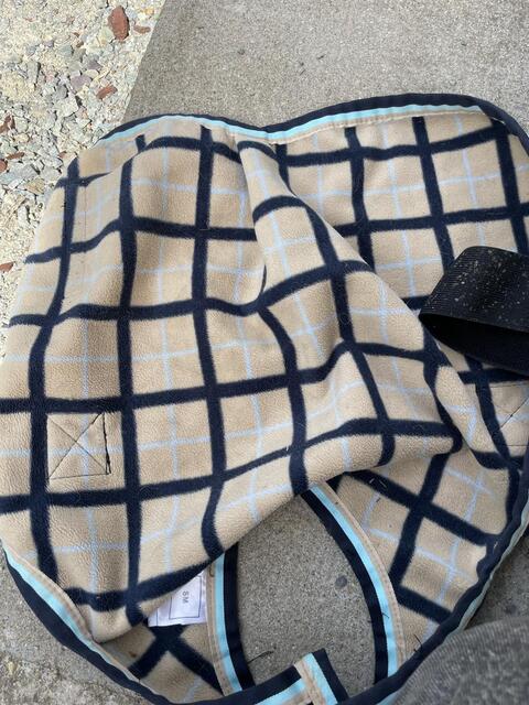 Manteau pour chien