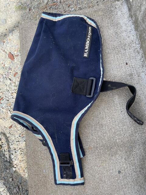 Manteau pour chien