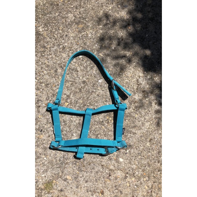 Lot d’un licol et une longe Fouganza bleu canard