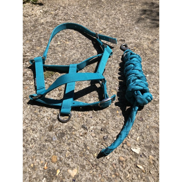 Lot d’un licol et une longe Fouganza bleu canard