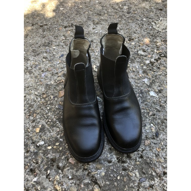 Boots en cuir Fouganza