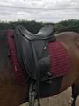 tapis dressage bordeaux Lemieux