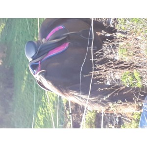 Superbe selle teckna dressage