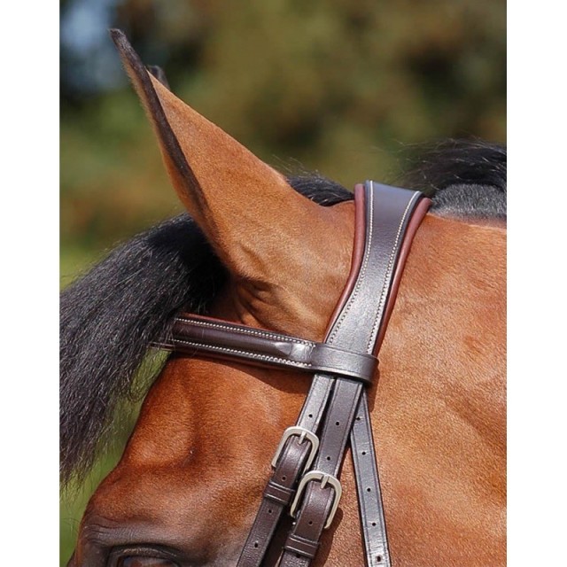 Bridon Dyon Working Collection