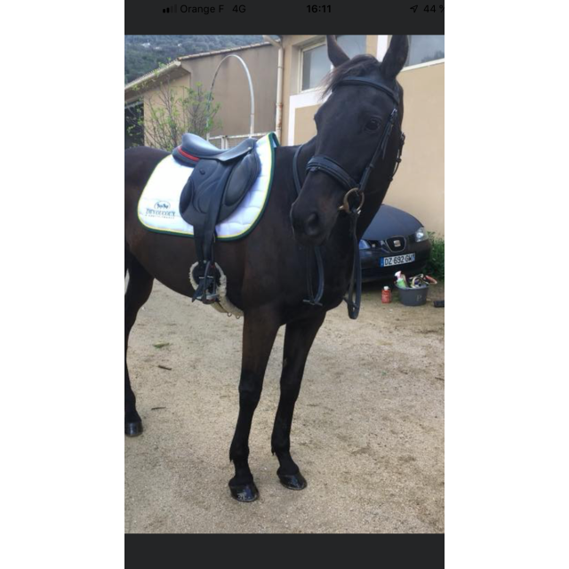 Chiberta liseret rouge 17,5