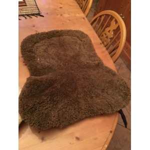 Amortisseur Mouton CSO